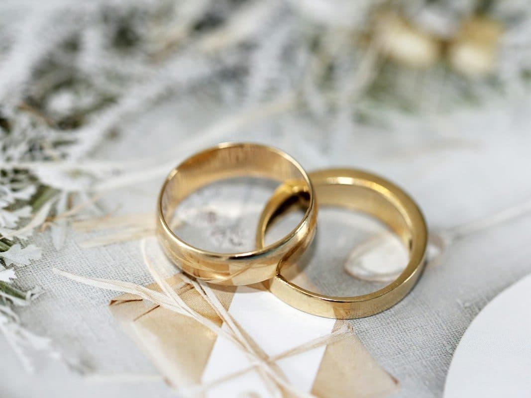 Two gold wedding bands resting on white fabric beside silvery-white leaves
