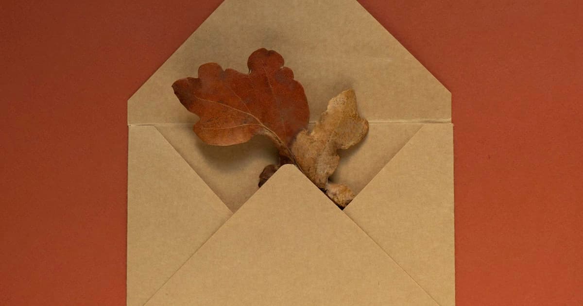 An open kraft paper envelope with dried leaves tucked inside, flat-lay on a brown background